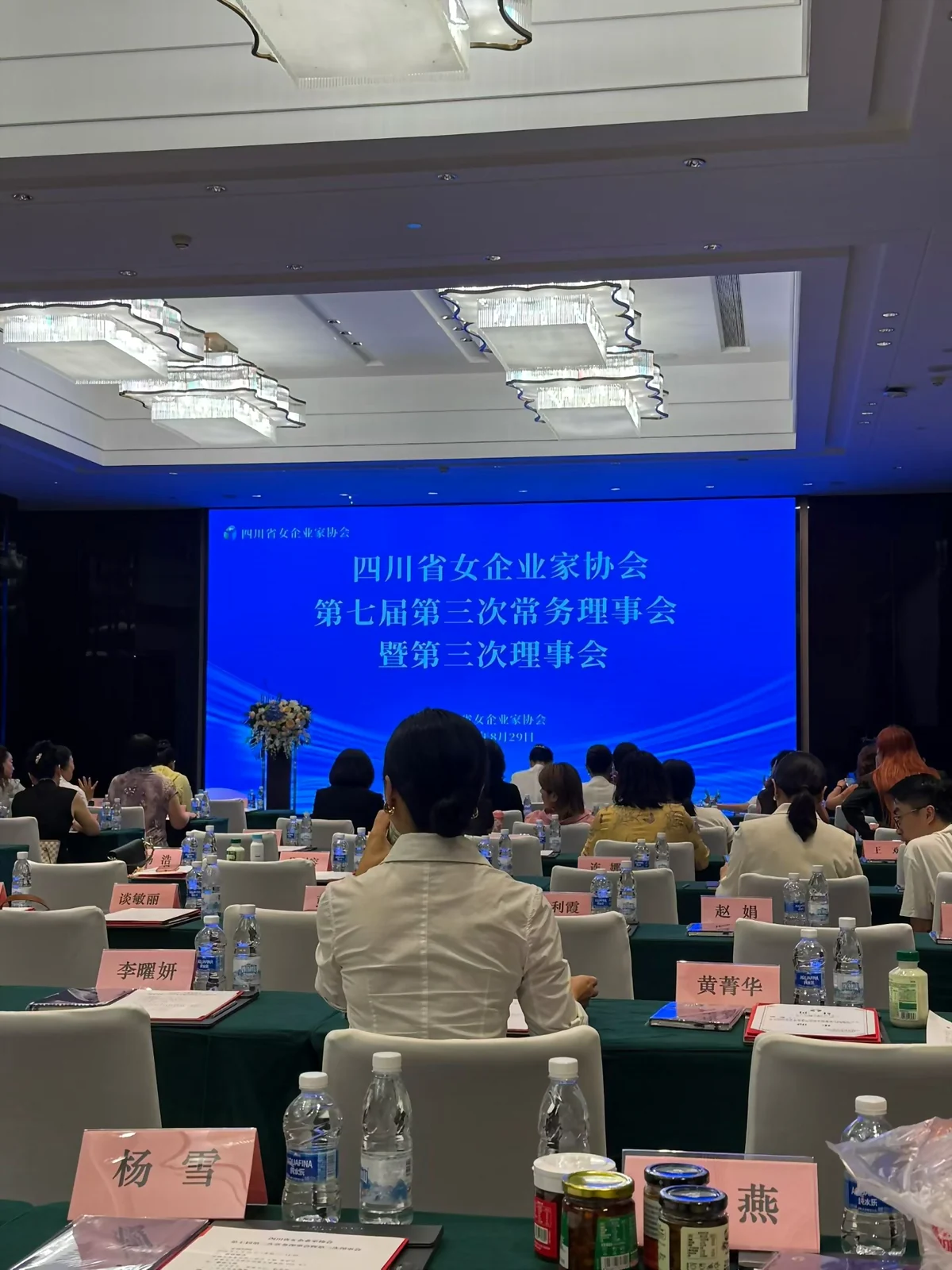 四川省女企业家协会第七届第三次常务理事会会议现场